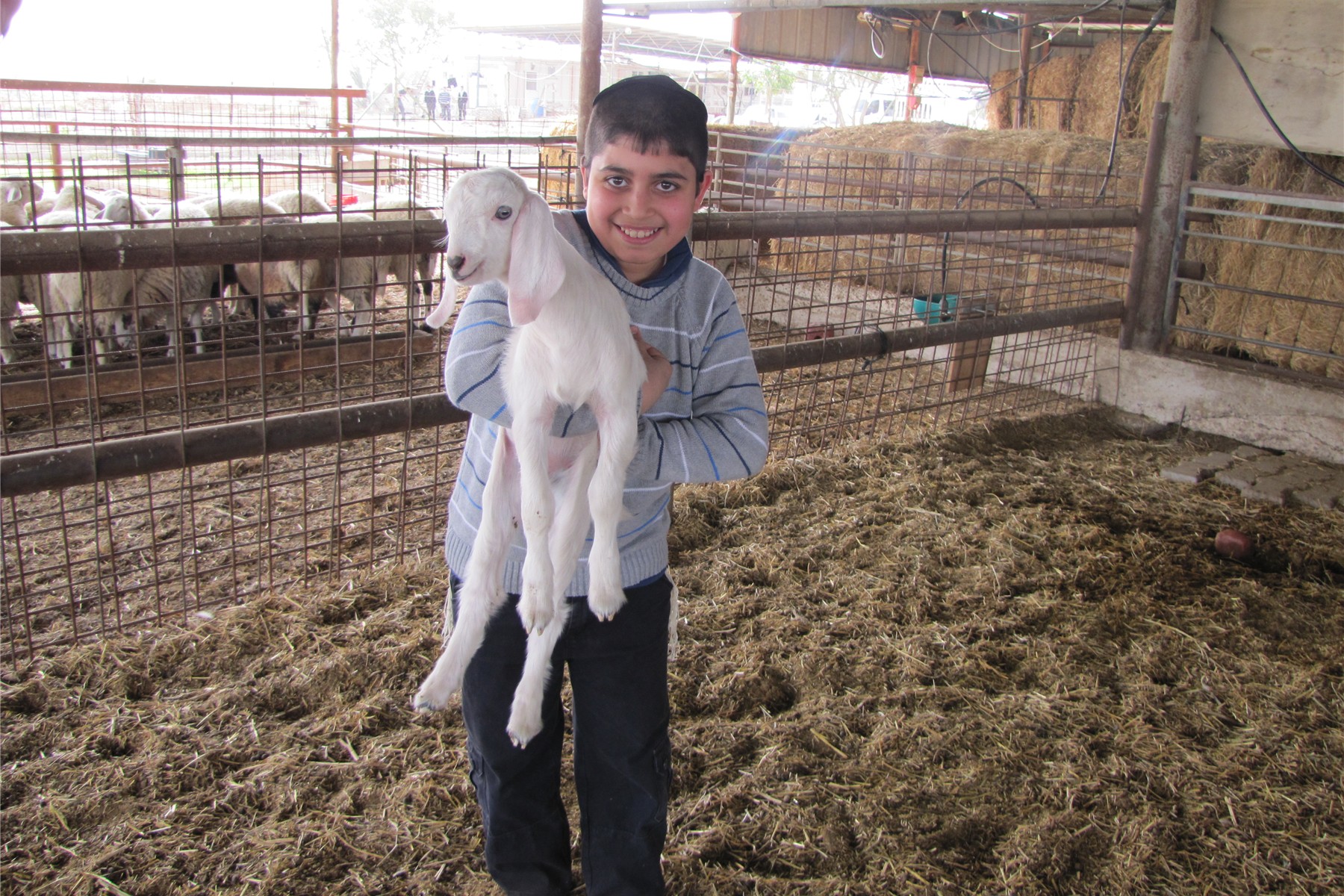 Boys Trip to the South of Israel - Shevat 